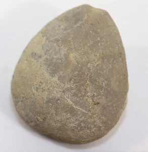 Seeigel, Disaster granulosus, Jura, Kimmeridge, Pilgerndorf, Deutschland -k266 - Picture 1 of 5