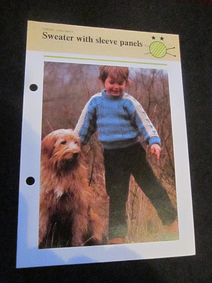 KNITTING PATTERN YOUNG CHILDREN  SWEATER WITH SLEEVE PANELS  **MUST SEE ** - Image 1 of 1