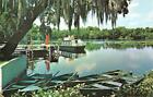 FL, Florida  ST JOHN'S RIVER Boat~Dock BLUE SPRINGS PARK  1970 Chrome Postcard