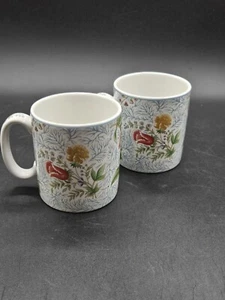 2 Spode Williamsburg Reserve Collection Blaikley Farn Tassen F2006 England, 3,5" Höhe - Bild 1 von 9