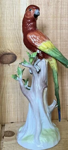 Dresden Porcelain Model Of A Parrot Carl Thieme, Potschappel Early 20th Century - Picture 1 of 20