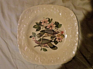 PIATTO Alfred Meakin BIRDS OF AMERICA bordo floreale in rilievo piccione #367 1941 - Foto 1 di 15
