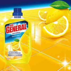 4 X 750ml Der General Allzweckreiniger langhaltiger Glanz und Frische Zitrone - Bild 1 von 1