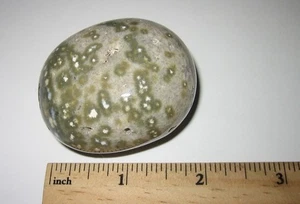 2.1" BEAUTIFUL TUMBLED POLISHED NATURAL OCEAN JASPER PALM STONE MINERAL 107grams - Imagen 1 de 5