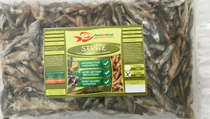 Stinte Trockenfisch im 3 Liter BEUTEL (480g) Reptilien Fischfutter Schildkröten - Bild 1 von 1