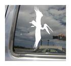 Flying Pelican Bird - Car Auto Window Vinyl Decal Sticker 01250