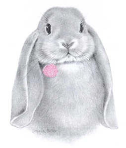 SWEAT SHIRT HAUTE QUALITE / LAPIN / Dispo : Enfant + S M L XL XXL XXXL - Picture 1 of 1
