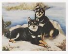 New Black and Tan Shiba Inu Pair Note Card Set 12 Notecards By Ruth Maystead