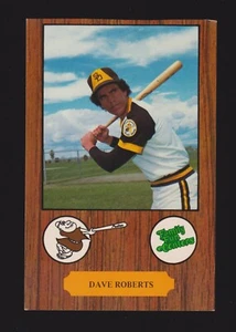 1978 FAMILY FUN CENTERS Dave W Roberts PADRES 3-1/2 x 5-1/4 PHOTO CARD #3 - Picture 1 of 1