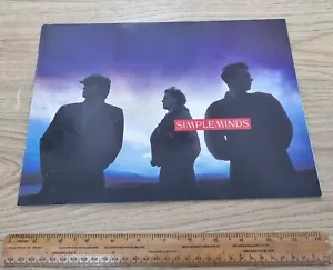 SIMPLE MINDS TOUR PROGRAMME 1989 STREET FIGHTING YEARS - MANDELA DAY ERA - Picture 1 of 3