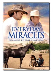 Everyday Miracles (DVD) Erik Smith Gary Cole Lusia Strus Zoe Perry (US IMPORT) - Picture 1 of 4