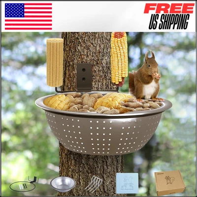 Alimentadores de esquilo com furos de drenagem, tigela removível, mesa de piquenique, esquilo - Imagem 1 de 4