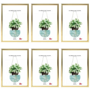 6x Plain Gold 8"x10" Document Certificate Photo Picture Glass Frame Bulk Lots - Picture 1 of 1