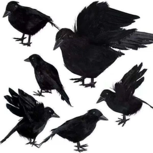 6 pezzi Corvo nero Film Prop Corvi finti Decorazioni di Halloween Uccelli DE- - Foto 1 di 10