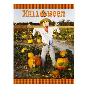 *Halloween Postcard-"Halloween-"The Big Pumpkin Patch" ...with Scarecrow/