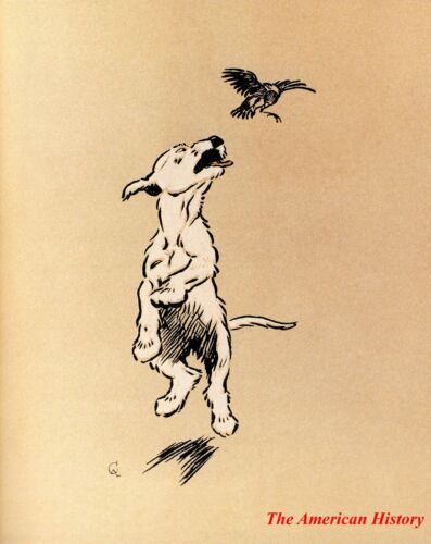 3271 Aldin, Cecil (1870-1935) - The White Puppy 1909 - Chasing a Bird