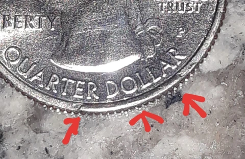 2018 Cumberland Island Lg Rim Cud Error Cover
