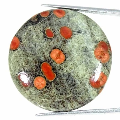 Piedra preciosa suelta cabujón redondo obsidiana cabujón natural de 30,80 quilates 29x5 mm Foto 1 de 4