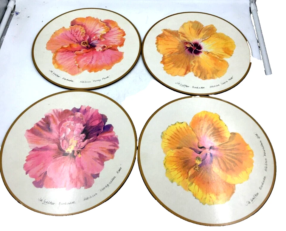 Pimpernel Jill Walker Hibiscus Juego de 4 manteles individuales 10" acrílico y corcho Inglaterra Foto 1 de 4