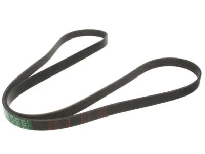 For 2002-2004 Nissan Xterra Multi Rib Belt 59326KSDW 2003 3.3L V6 Supercharged - Image 1 of 2