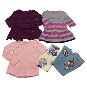 Lote de ropa tops y pantalones de 5 piezas para niñas pequeñas - talla 4t - Imagen 1 de 9