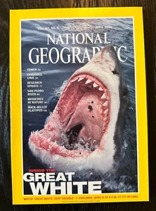 National Geographic April 2000 Great White Shark Vol 197 Issue VTG Yemen Jaws - Picture 1 of 9