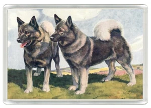 ELKHOUND DOGS DOG ART PRINT NOVELTY FRIDGE MAGNET GREAT GIFT - Bild 1 von 1