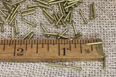 3/8 英寸实心黄铜手镯 100 NAILS 圆头 18 号 Escutcheon 针美国制造!  — 第 1/4 张图片