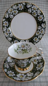Royal Albert Provincial Flowers, Mountain Avens, Sammeltassen Set - Bild 1 von 2