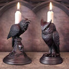 Owl Candlestick Holder Resin Crow Figurine Candlestick Stand Black Candle SD~