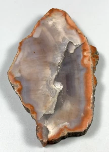 Arizona Achat versteinertes Holz Lapidarplatte für Kabbing oder Ausstellung alter Lagerbestand - Bild 1 von 8