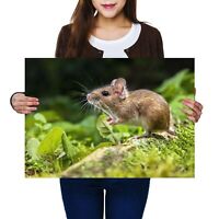 A4 Field Mice Mouse Animal Poster 29.7X21cm280gsm #14597