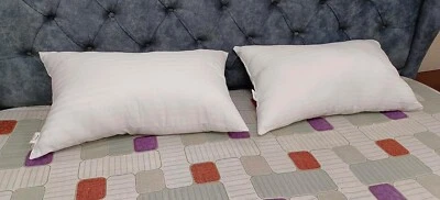 Dhunki Fiber Pillow Satin Stripes 16x24 inch Certified White Pack Of 2 - Image 1 of 4