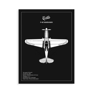 Impresión En Lienzo En Papel Póster O Cuadro ROGAN MARK BP P-40 WARHAWK BLACK - Imagen 1 de 2