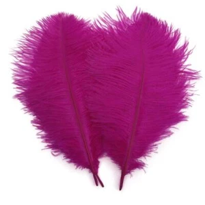 Fuchsia 10-12inch 25-30cm Ostrich Feather Home Decoration DIY Craft Pack of 10 - Picture 1 of 2