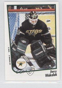 1994-95 Panini Album Stickers Darcy Wakaluk #234