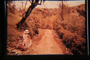 Lot of 12 Vintage 35mm Slides Photos: Early 1900s-1940s & 1980s, Plastic Mounts - Foto 1 di 12