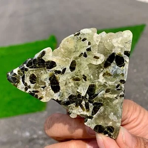 134G Natürlicher Grüner Turmalin mit Quarzkristall Cluster Mineral Präparat - Bild 1 von 18