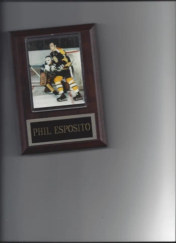 PHIL ESPOSITO PLAQUE BOSTON BRUINS HOCKEY NHL Cover