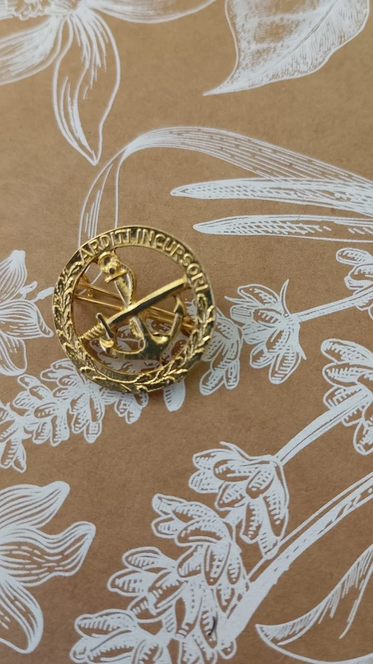 PINS ARDITI INCURSORI SPILLA - Immagine 1 di 1