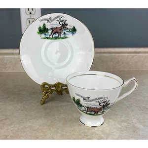 Elizabethan Fine Bone China England Newfoundland Tea Cup And Saucer Set - Picture 1 of 9
