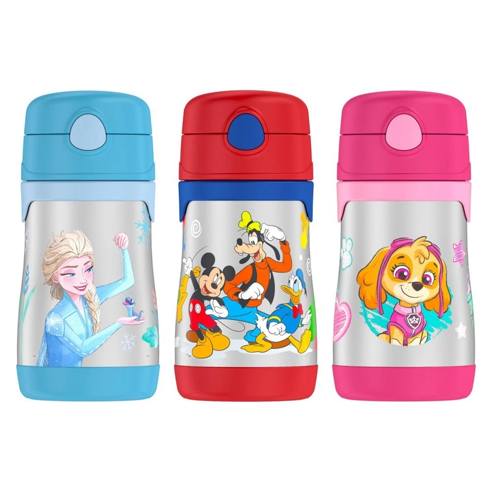 Termo FOOGO Botella de paja aislada al vacío de acero inoxidable de 10 onzas Foto 1 de 1