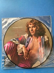 orig 1977 Peter Frampton I'm In You PICTURE DISC LP vinyl PROMO record album - Picture 1 of 2