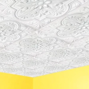 Piastrelle soffitto, colla, 20"" x 20"", bianco REGAL, 100 PEZZI - Foto 1 di 5