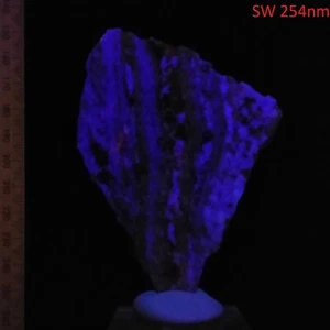 Fluorescent Fluorite w/ Garnet in Albite thin unpolished slab short wave 572ct - Picture 1 of 8