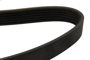 Keilrippenriemen DAYCO 6PK1873 für BMW 1 (E87) 2 2004-2007 - Picture 1 of 8