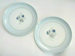 2 Bing & Grondahl Cornflower Blue Edge Dinner Plates- Excellent! - Picture 1 of 7