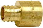 Barbed Pipe Pex Sweat Adapter,Brass,3/4-In. Barb Insertx3/4-In. Female Pipe -Uc6