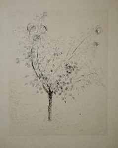 Arbre en fleurs 6 - André DUNOYER de SEGONZAC - Estampe - Eau Forte - Picture 1 of 1