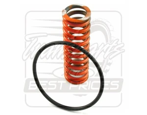 Fits GM TH350 Turbo 350 Transmission Accumulator Spring & Oring 1969-ON - Bild 1 von 1